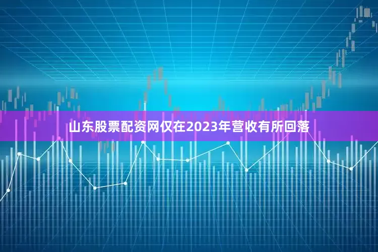 山东股票配资网仅在2023年营收有所回落