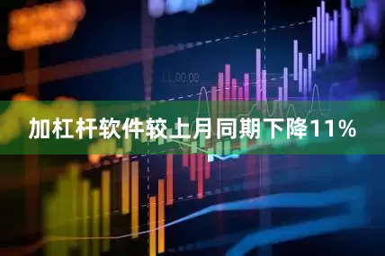加杠杆软件较上月同期下降11%