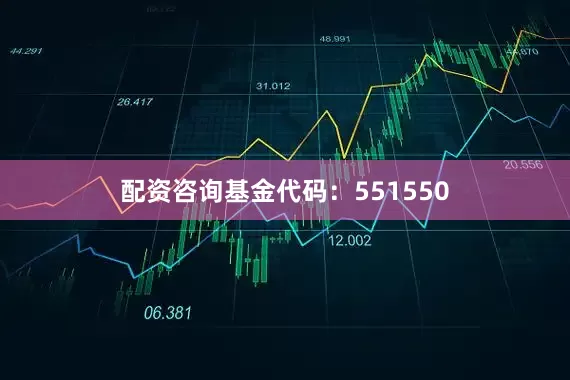 配资咨询基金代码：551550